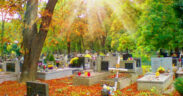 Cmentarz na wolce weglowej warszawa